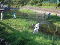 本日は町内一斉清掃の日