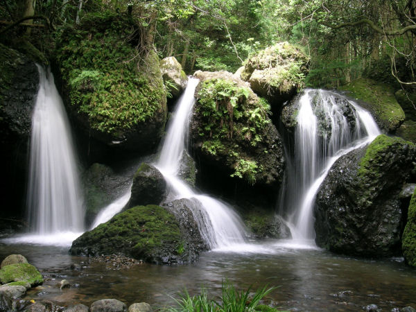 嵯峨の滝