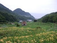 石部の棚田 石部の棚田