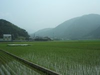 田んぼ 田んぼ