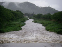 那賀川 那賀川