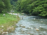 鮎釣り 鮎釣り