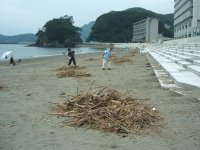 海岸清掃 海岸清掃