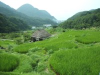 石部棚田