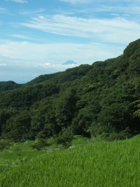 棚田