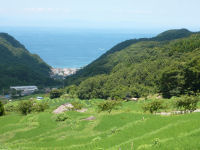 石部棚田
