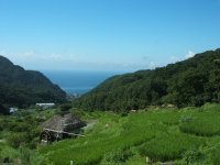 石部棚田