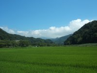 雲
