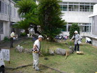 中川小学校PTA奉仕作業 中川小学校PTA奉仕作業