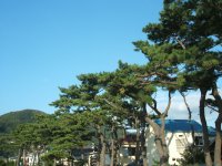 松崎海岸 松崎海岸