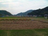 田んぼ 田んぼ