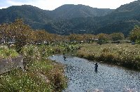 那賀川の釣り