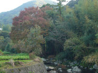 八木山紅葉 八木山紅葉