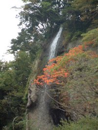 ねずっくいの滝 ねずっくいの滝