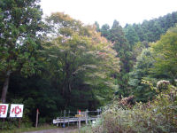 長九郎山紅葉 長九郎山紅葉