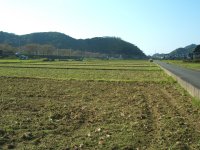 中耕地 中耕地
