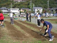 花壇種まき 花壇種まき