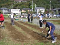 花壇種まき