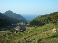 棚田 棚田