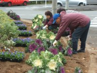 花の会花植え 花の会花植え