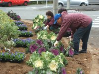 花の会花植え