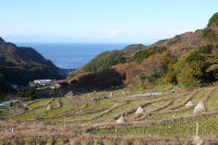 石部棚田 石部棚田
