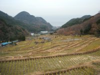 里山 里山