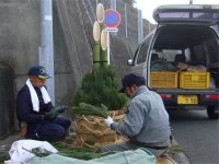 門松 門松
