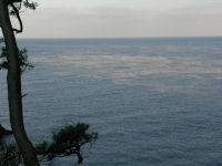 海の湯気(けあらし) 海の湯気(けあらし)