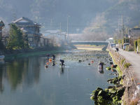 川ノリ取り