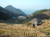石部棚田 石部棚田