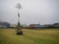 どんど焼きは雨で延期されました