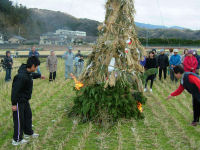 江奈地区のどんど焼き