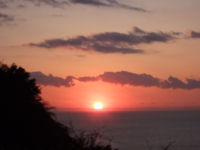 夕日 夕日