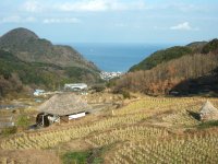 棚田 棚田