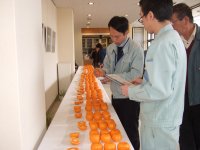 ポンカン品評会 ポンカン品評会