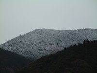 雪 雪