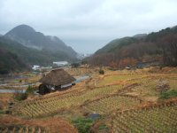 棚田 棚田