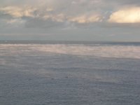 海霧 海霧