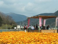 花畑足湯 花畑足湯