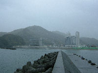 雨の松崎 雨の松崎