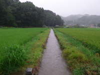 排水路の水位も上がってきました