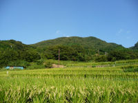 石部棚田 石部棚田