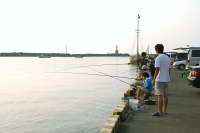 松崎港 松崎港