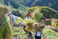 棚田収穫祭