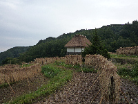 棚田 棚田