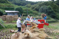 石部棚田脱穀作業