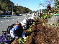 三聖苑花壇植替え