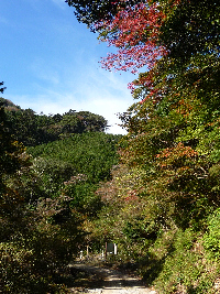 長九郎山紅葉