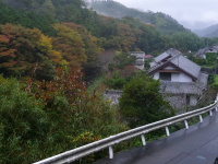 岩科地区の紅葉